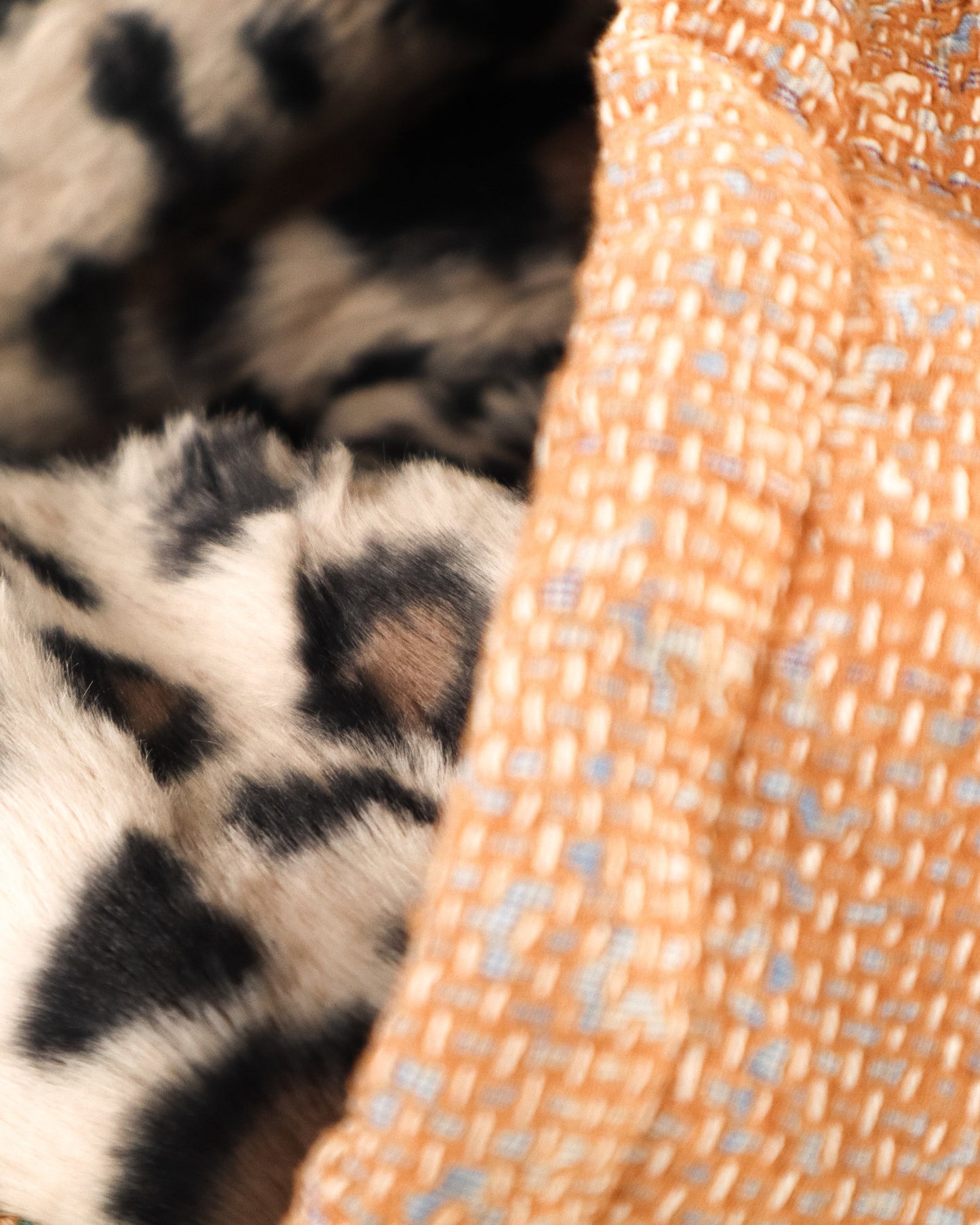 THE BLUE ISLAND - LEOPARD FUR-LINED COAT COLOR 6