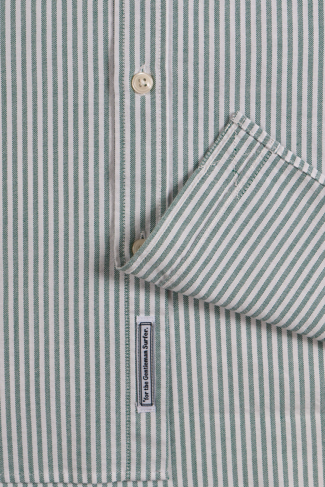 CUISSE DE GRENOUILLE - Chemise Oxford Rayé Vert et Blanc