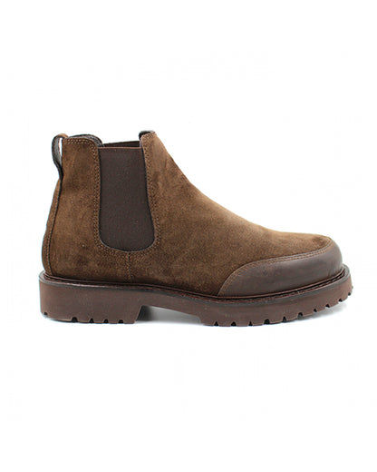 KJORE - Shell Beatles Brown