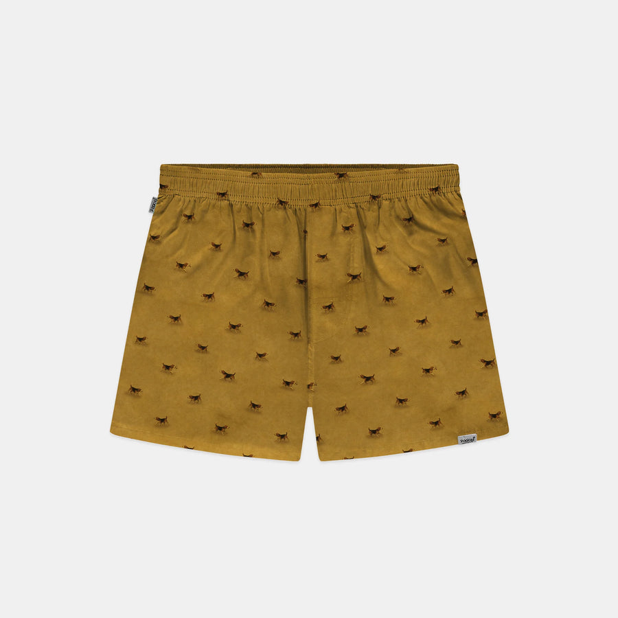 Boxer Pockies Beagle moutarde en coton bio, vue principale