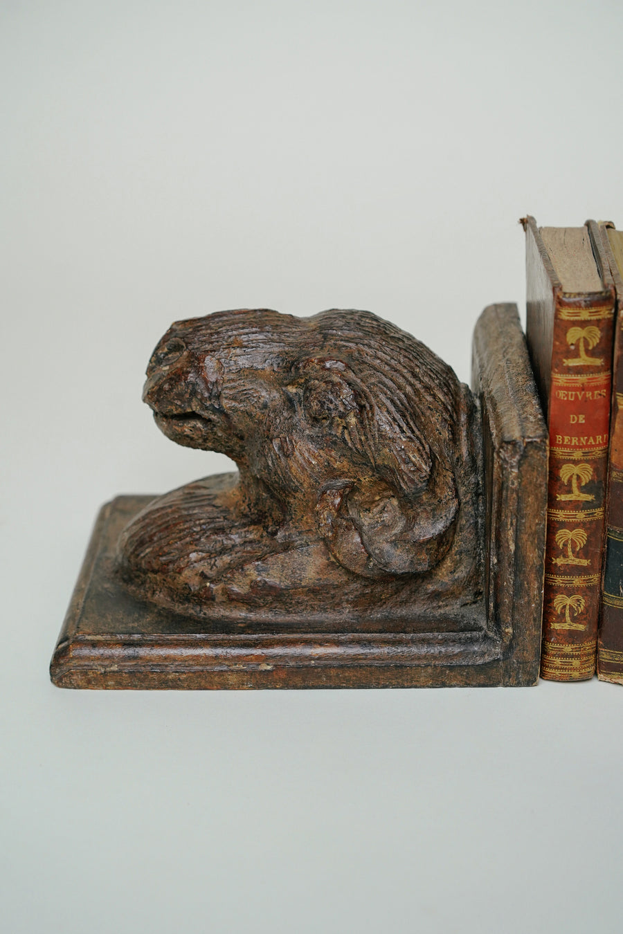 L'ÎLE BLEUE - Cale Livres