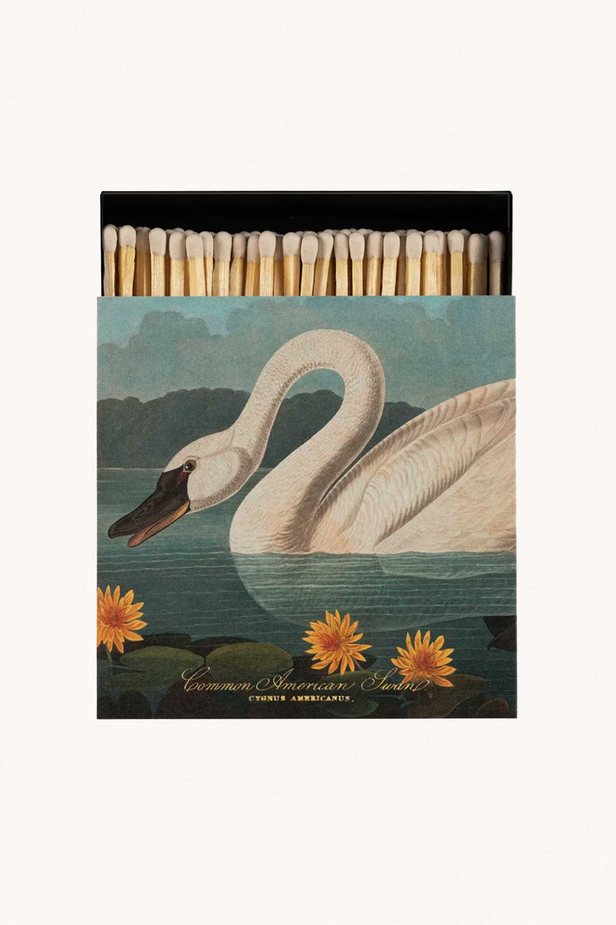 ARCHIVIST GALLERY - BOITE D'ALLUMETTES CYGNE