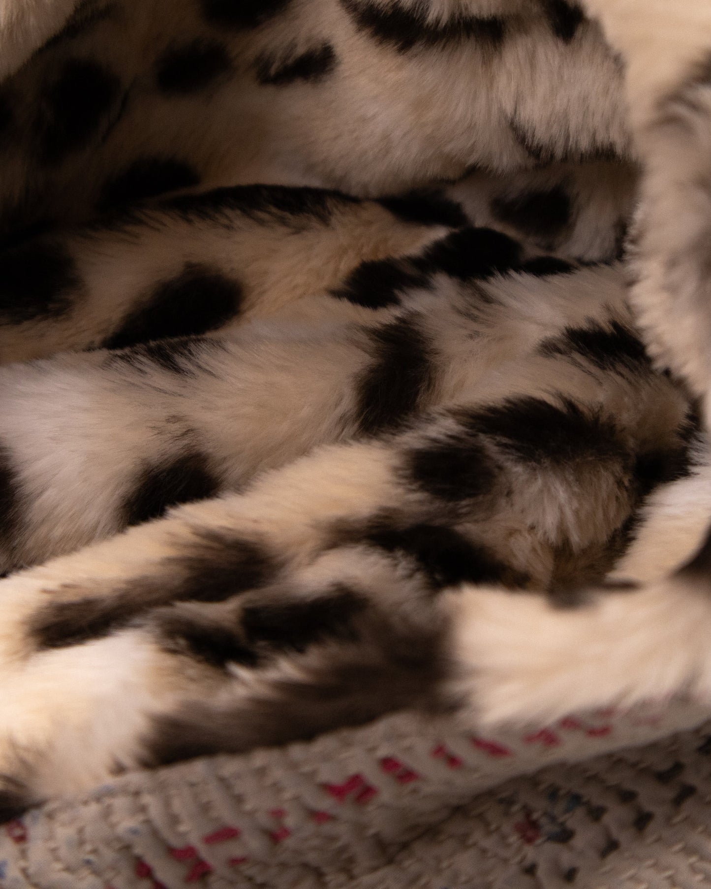 L’ÎLE BLEUE - HOODY FOURRÉ LÉOPARD EN KANTHA COULEUR 21