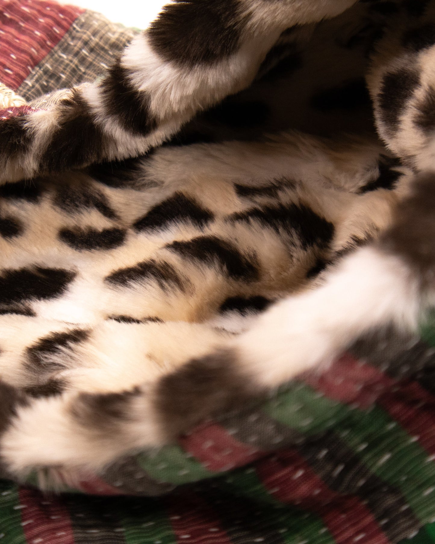 L’ÎLE BLEUE - HOODY FOURRÉ LÉOPARD EN KANTHA COULEUR 25