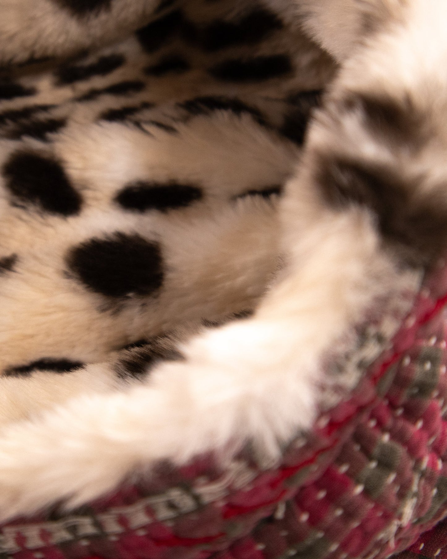 L’ÎLE BLEUE - HOODY FOURRÉ LÉOPARD GALICHA COULEUR 2