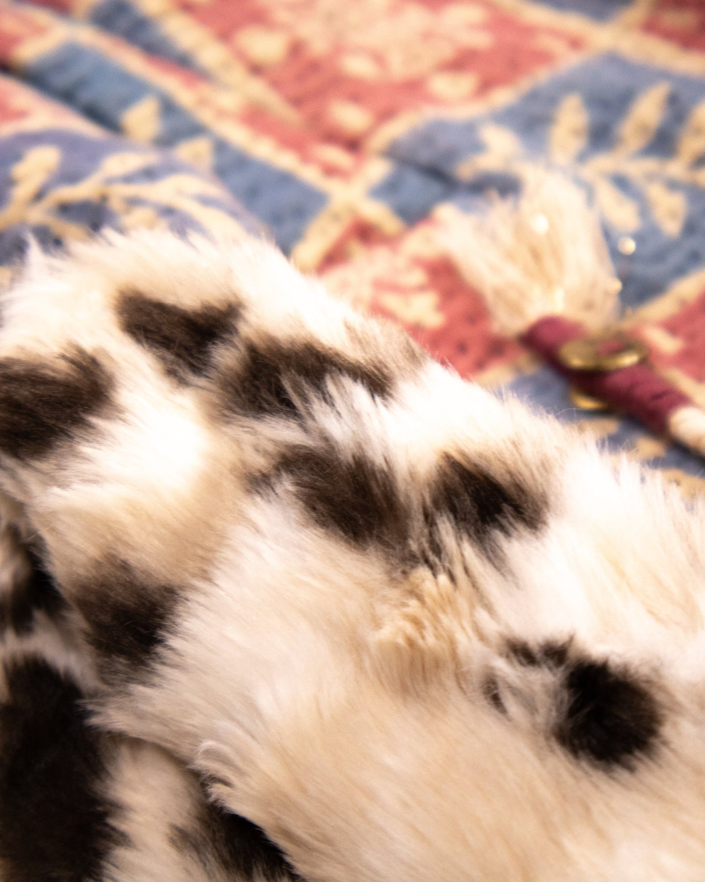 THE BLUE ISLAND - LEOPARD SLEEVELESS HOODIE IN KANTHA COLOR 8