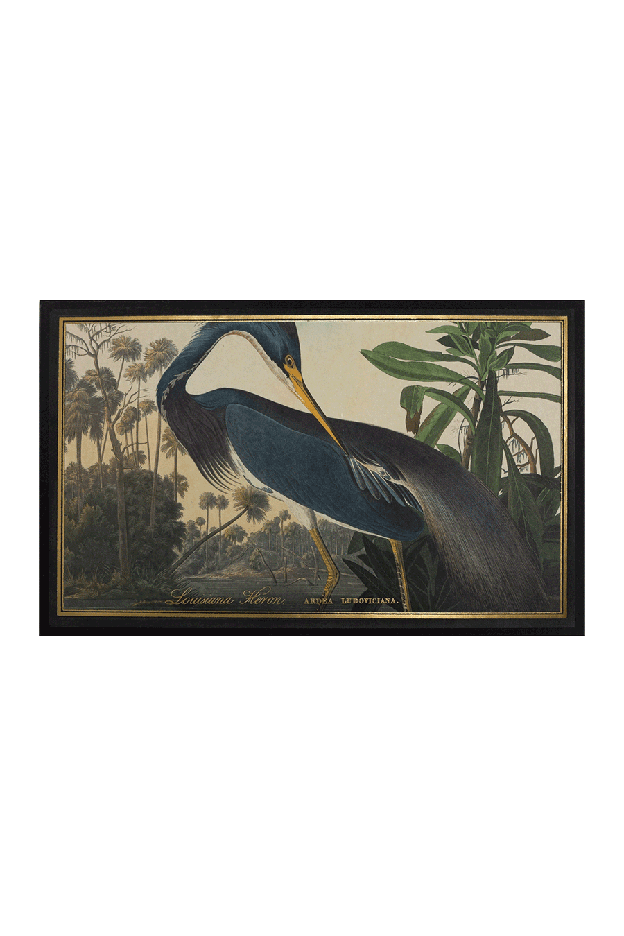 ARCHIVIST GALLERY - BOITE D'ALLUMETTES HERON