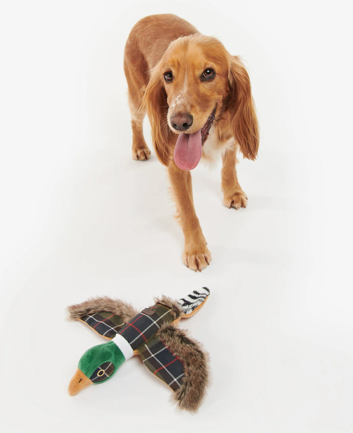 Jouet faisan pour chien Barbour en tissu classic tartan, vue principale