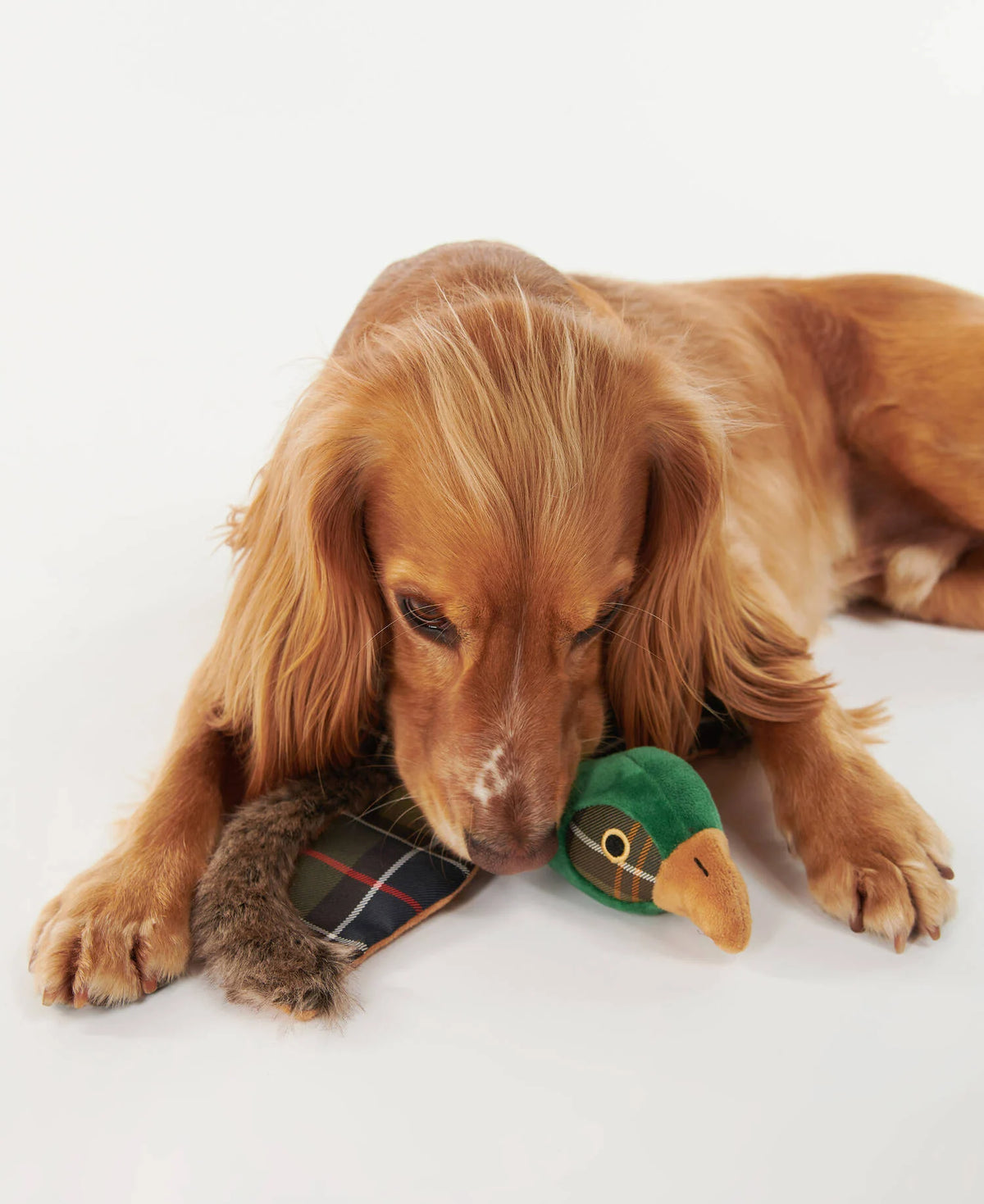 Jouet faisan pour chien Barbour en tissu classic tartan, cinquième vue