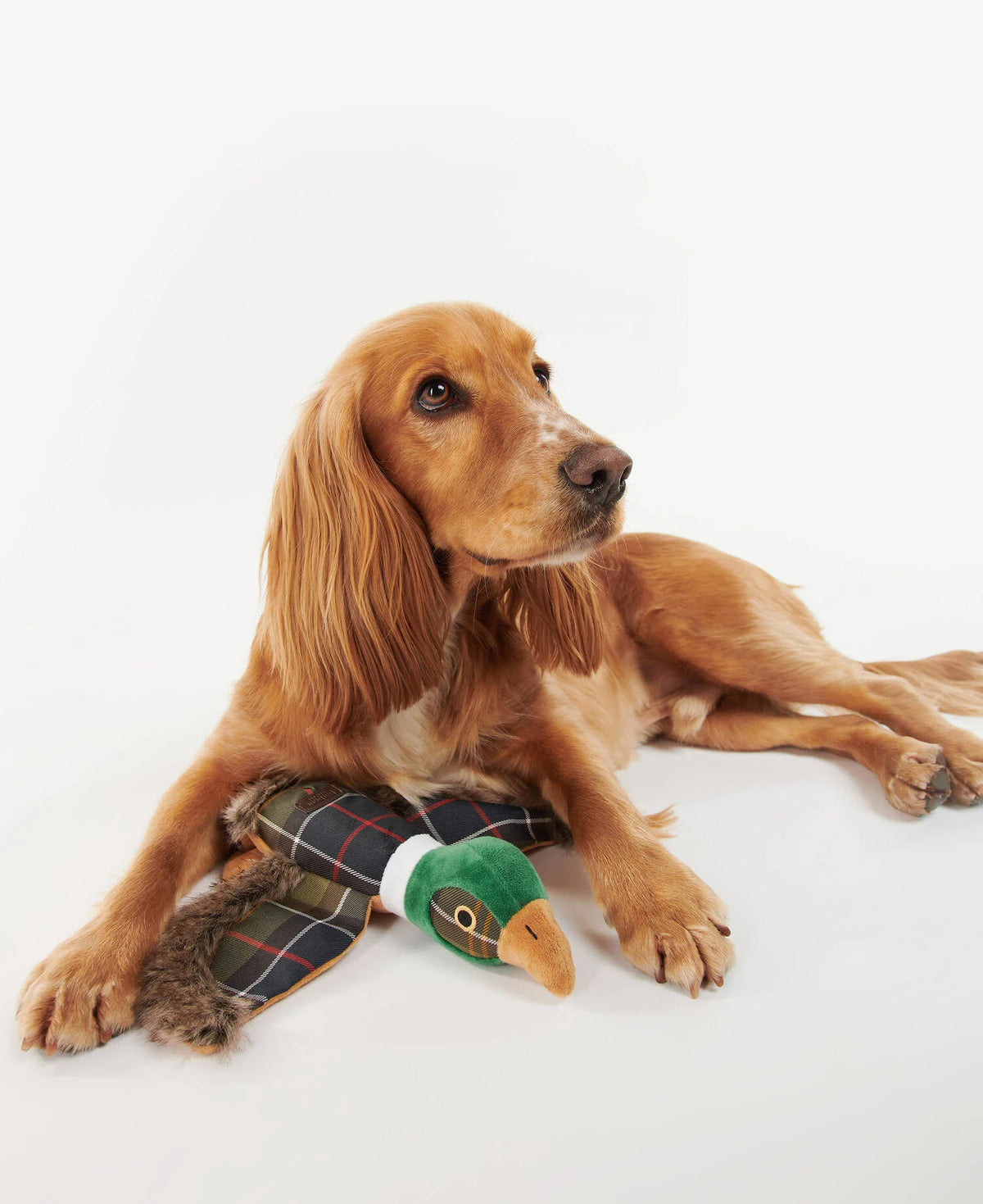 Jouet faisan pour chien Barbour en tissu classic tartan, sixième vue
