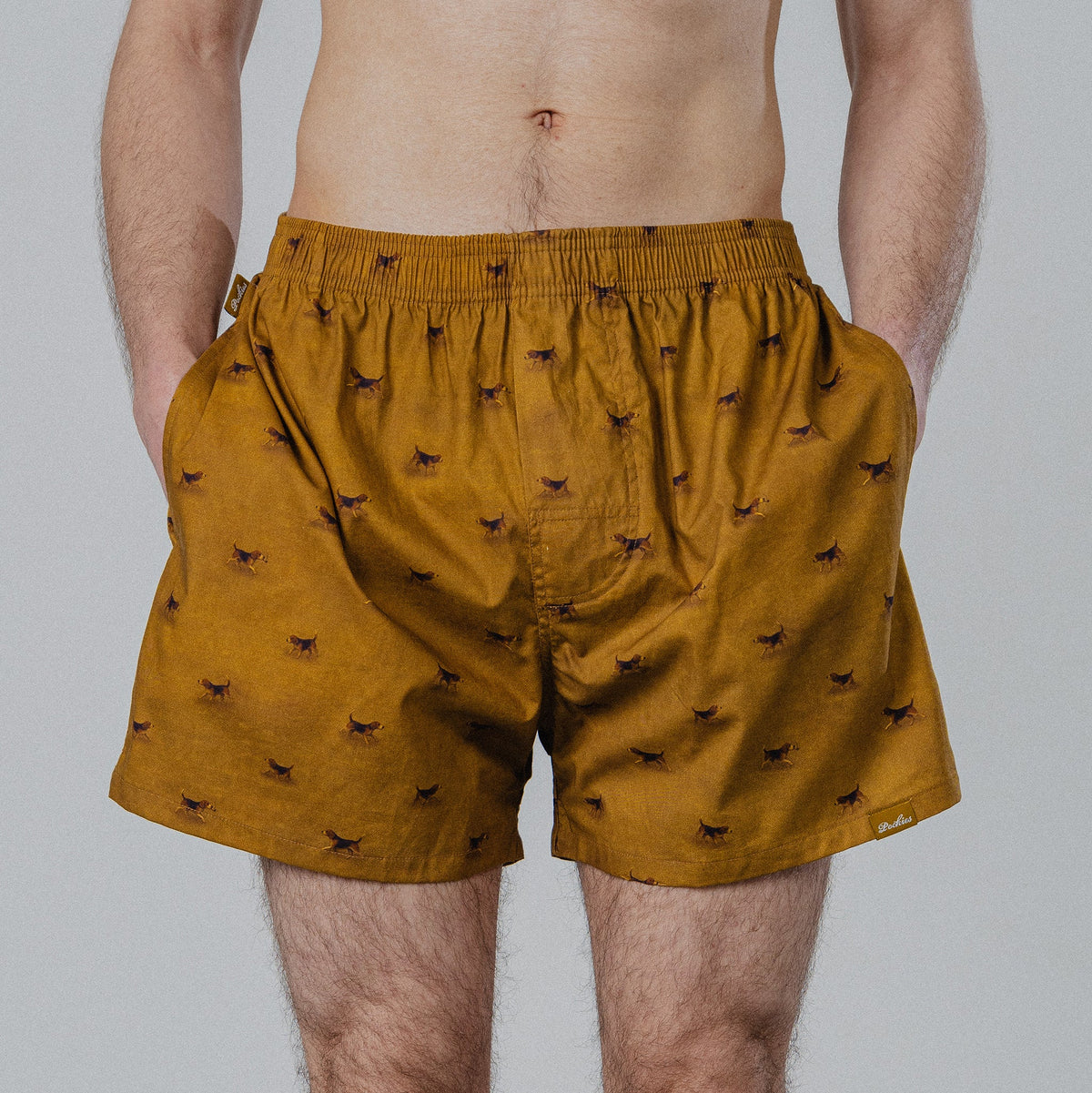 Boxer Pockies Beagle moutarde en coton bio, autre angle