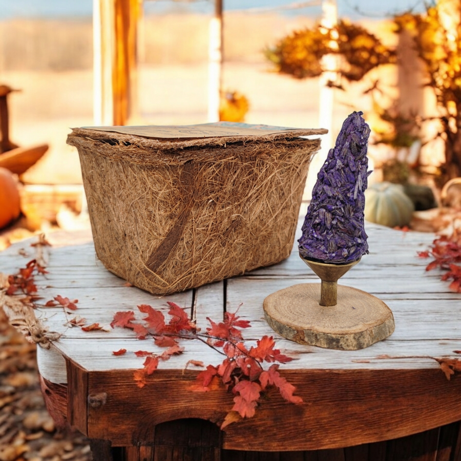 MAS DU ROSEAU - Fire cones