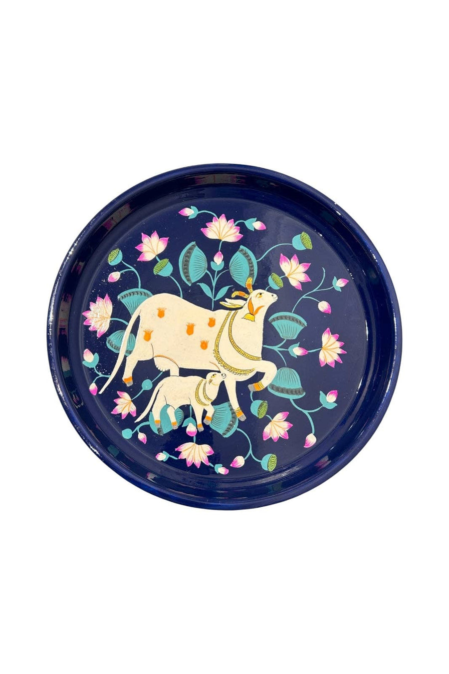 CURIOSITY LAB - Plateau en Inox