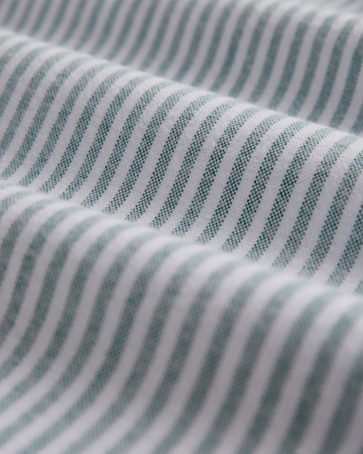 Texture du tissu Oxford brossé de la chemise rayée verte