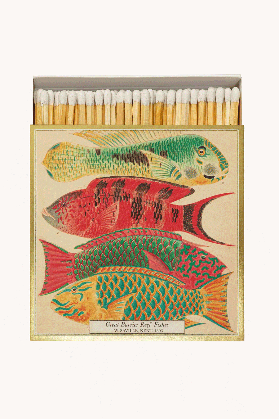 ARCHIVIST GALLERY - ALLUMETTES CARREES POISSON